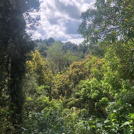 Kaka Ridge Retreat Bush Hideaway Διαμέρισμα Tawharanui Εξωτερικό φωτογραφία